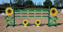 Obstacle complet Tournesol