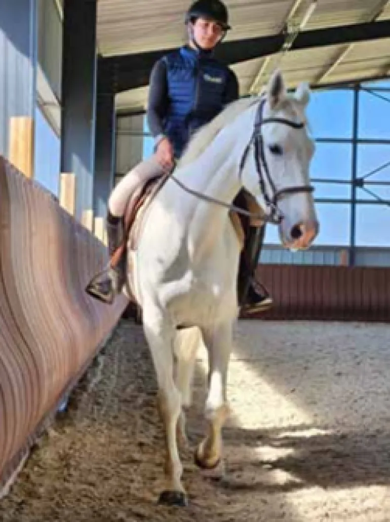 Pare-bottes pour manège