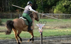 Set complet Equitation de Travail - Taureau avec ses anneaux et sa chandelle