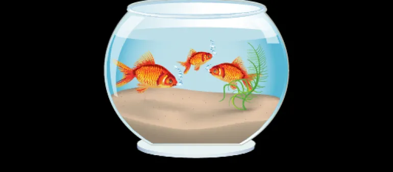 Soubassement aquarium effet 3D