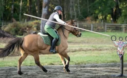 Taureau et ses anneaux Équitation de Travail